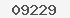 ochrann� obr�zek