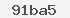 ochrann� obr�zek